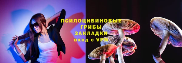 сатива Богородск