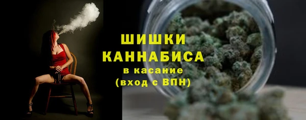 метадон Богданович