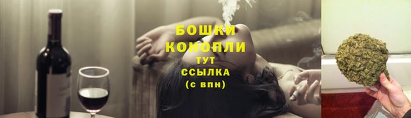 метадон Богданович