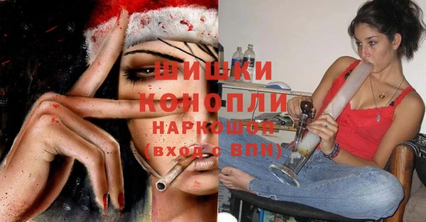 сатива Богородск