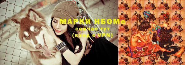 метадон Богданович