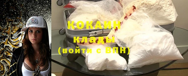 кокс Богородицк