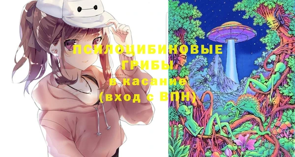 кокс Богородицк