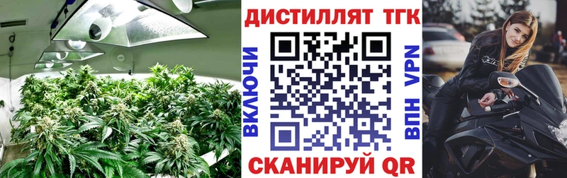 ТГК Wax  магазин  наркотиков  Волгодонск 